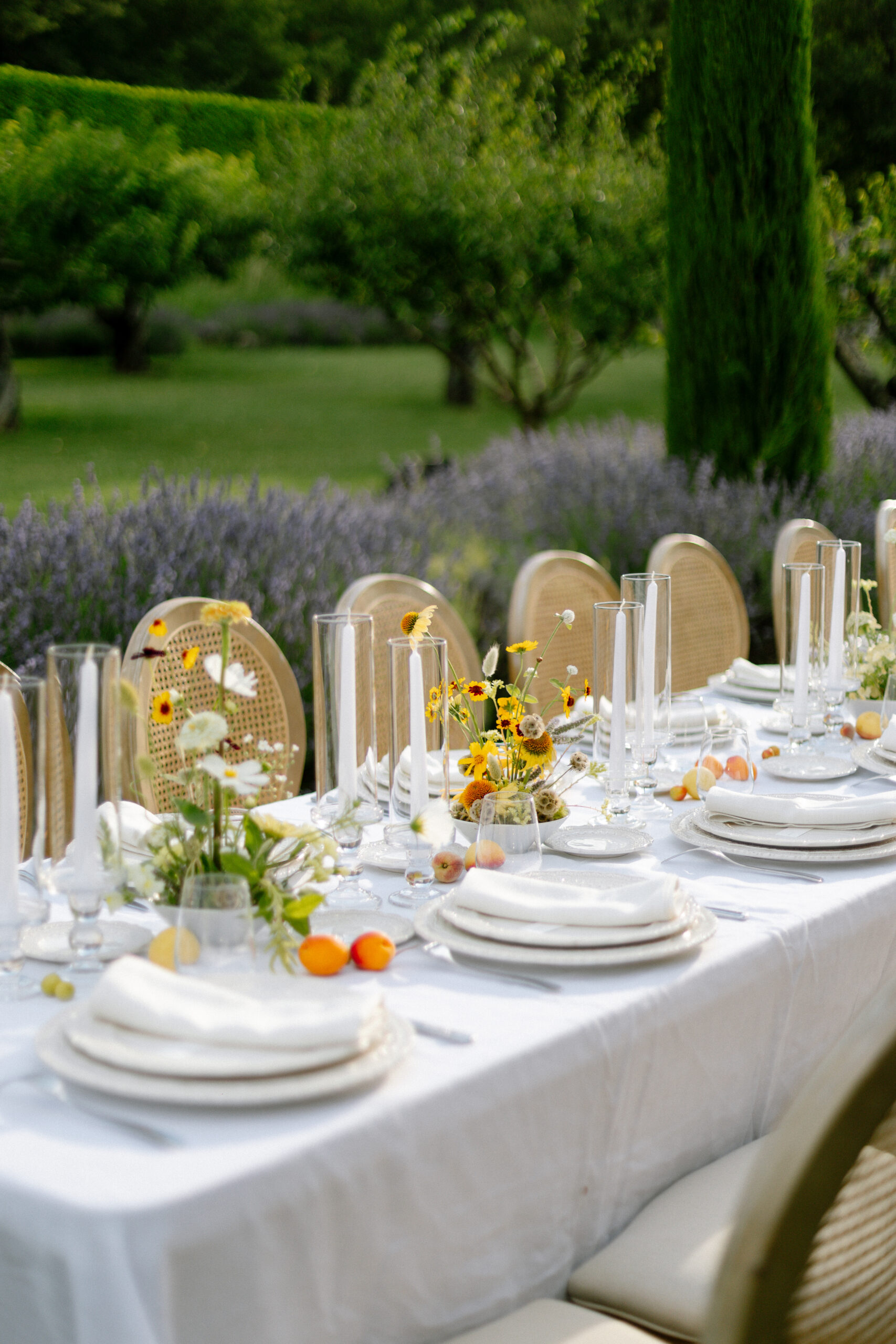Wedding venue in Provence - Castle of Sannes - Chateau de sannes